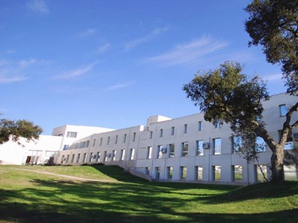 Instituto Polytechnico de Setubal